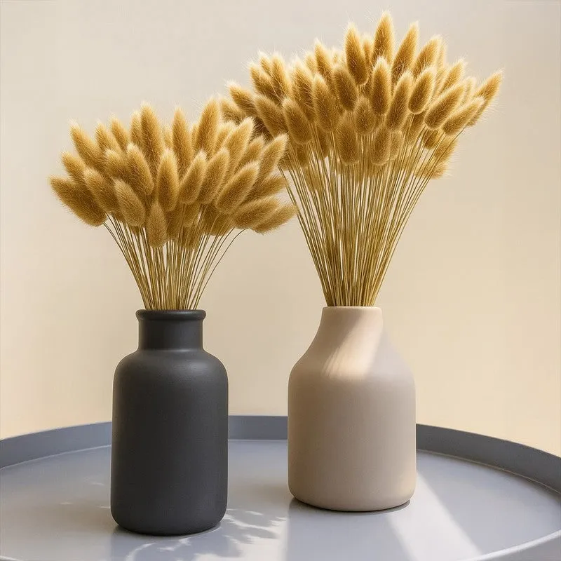 Cloudtail Dried Bunny Tail Stem (Beige) - Set Of Sixty media 1