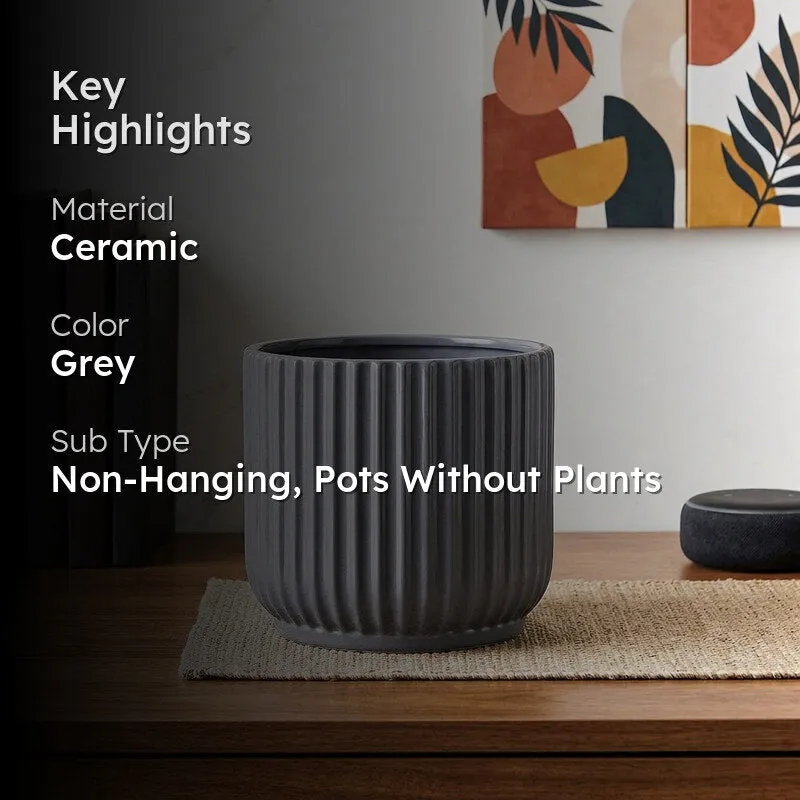 Ugaoo Phoenix Grey Ceramic Pot media 2