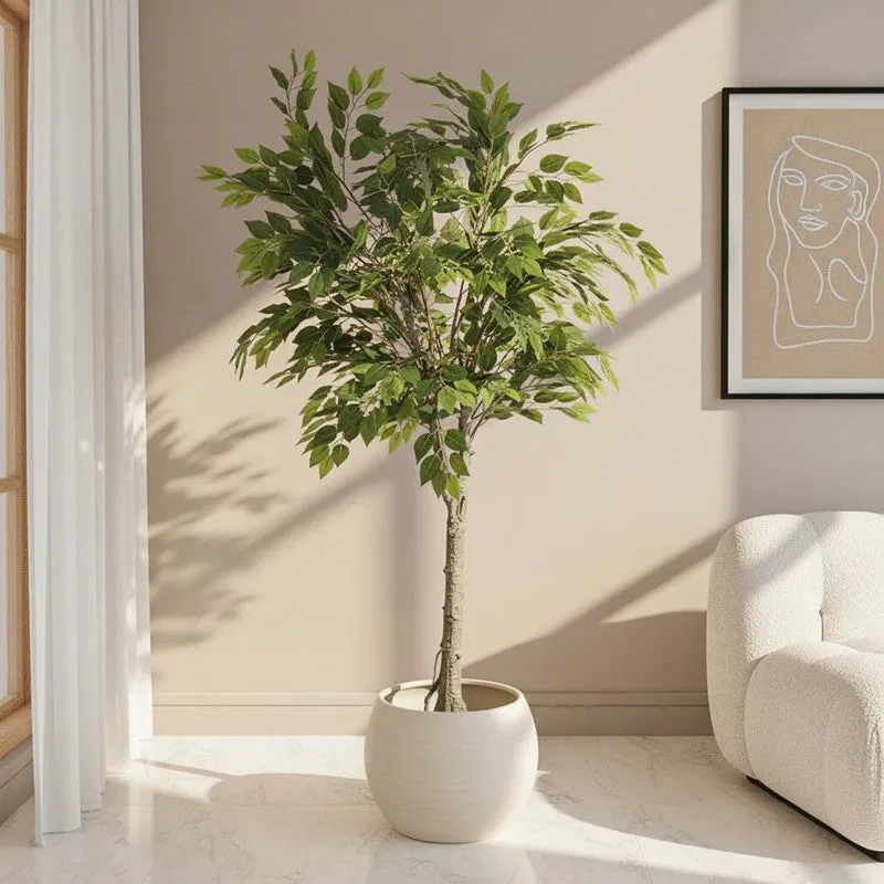 Faux Ficus Plant With Black Plastic Pot - 5.91 ft media 1