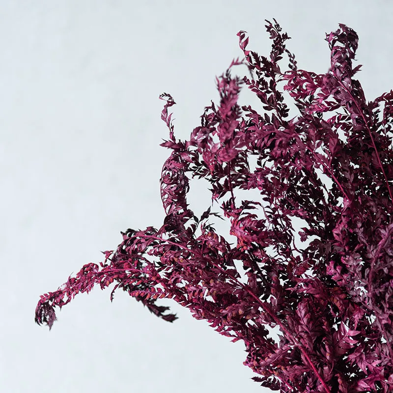 Lizeya Naturally Dried Bunch - Set Of Twelve media 1