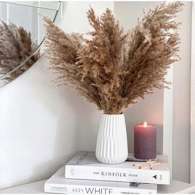 Naturally Dried Pampas Stems (Brown) - Set Of Ten media 4