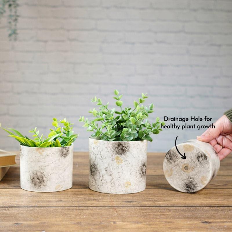 Play Punch Planter - Set Of Three media 6