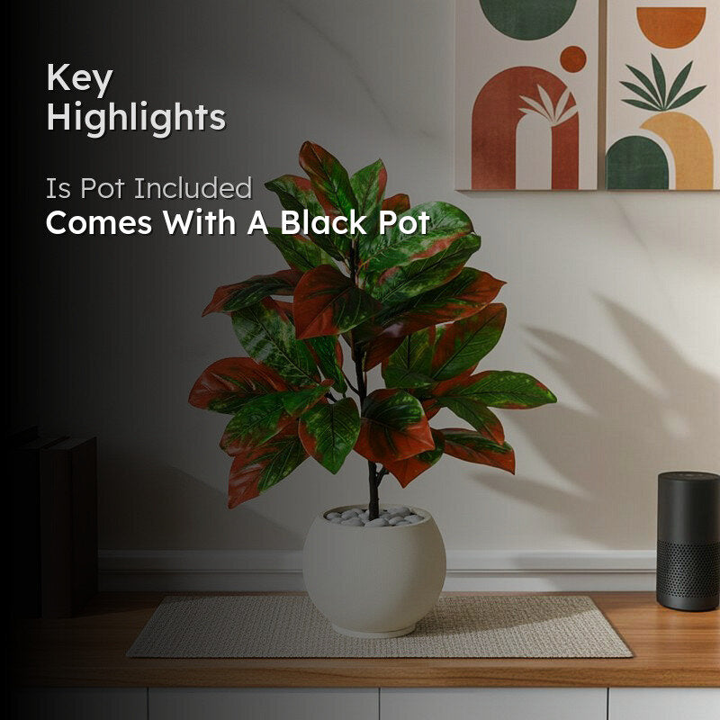 Faux Everlasting Croton Plant With Black Plastic Pot - 74 cm (2.4 ft) media 2