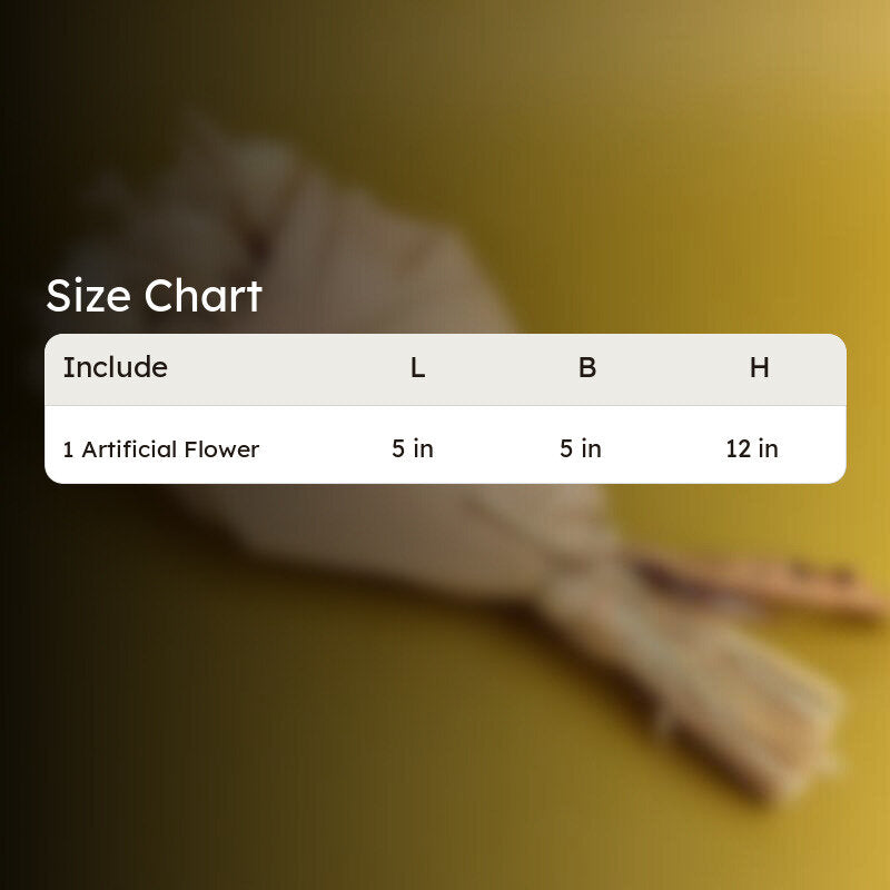 Rose Éterne Dried Flower Bouquet - Beige media 5