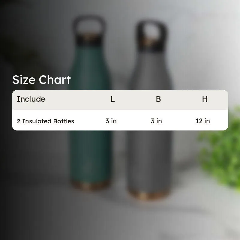 Liquid Muse Hot & Cold Thermos Water Bottle (Green & Grey, 750 mL Each) - Set Of Two media 5