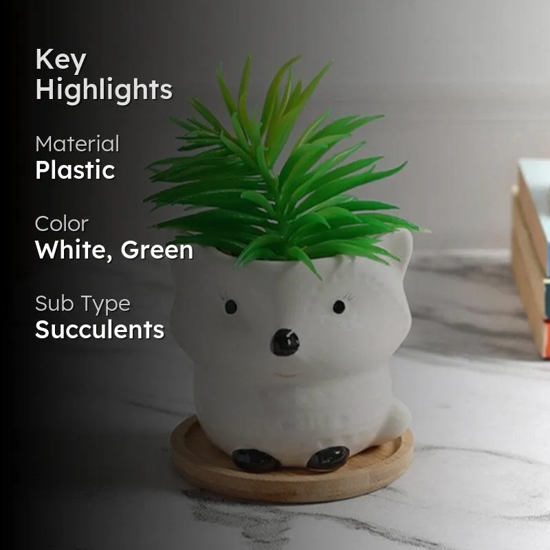 Faux Senecio In Foxy Face Pot - 13 cms media 2