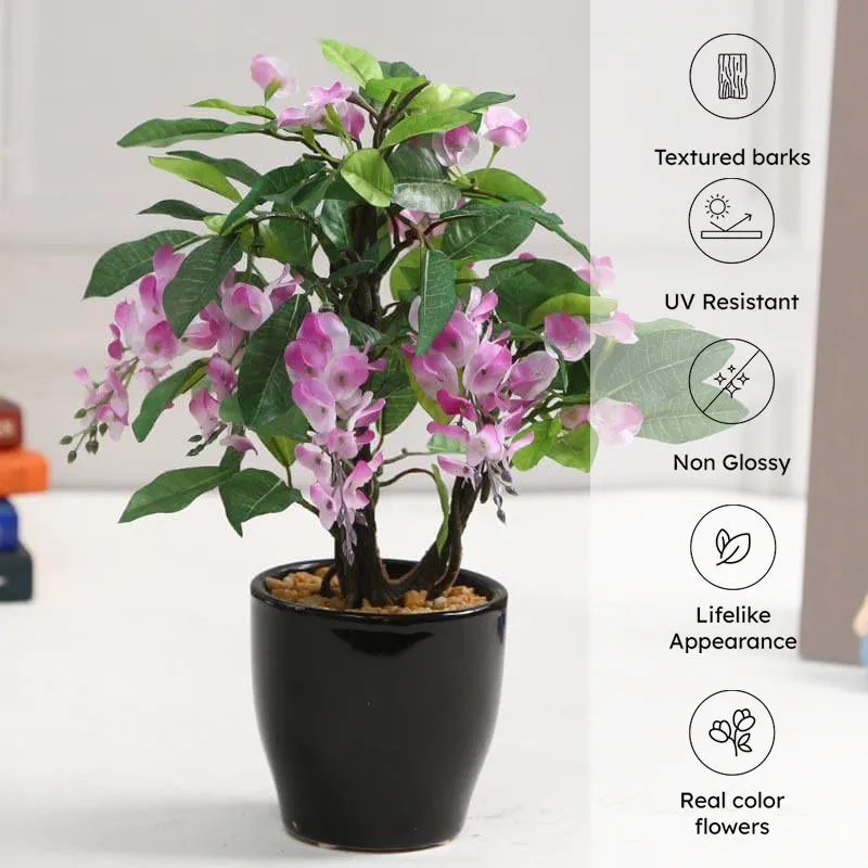 Faux Wisteria Artificial Bonsai Plant In Ceramic Pot (25 cms) - Purple media 4