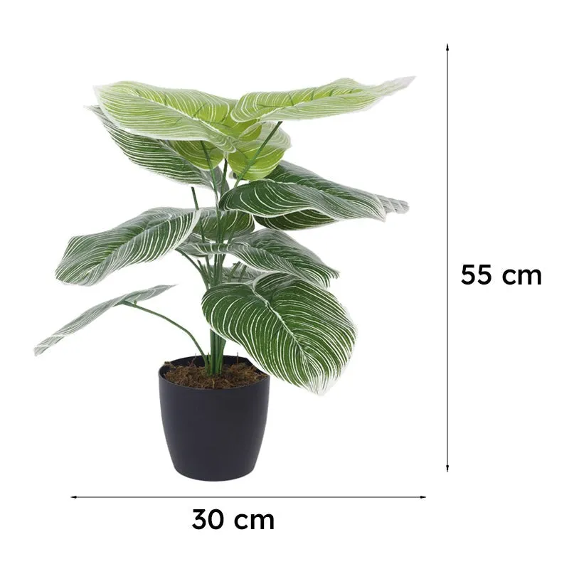Faux Realtouch White Dieffenbachia Tree With Black Plastic Pot - 1.8 Feet media 7