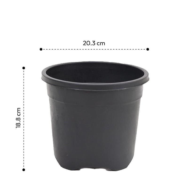 Ugaoo UV Treated Black Plastic Pot (20 CM) - Set Of Three media 5