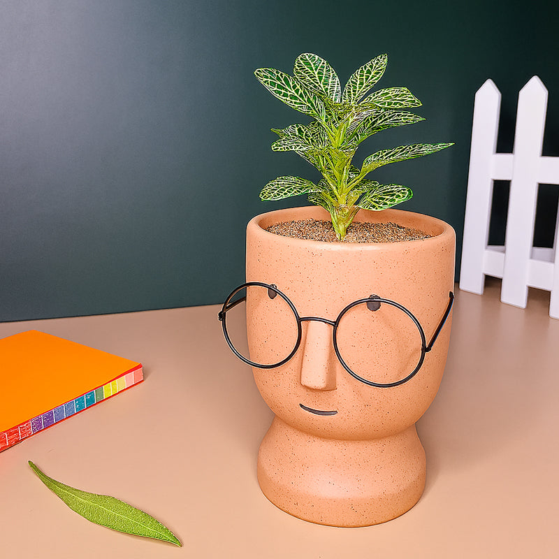 Cheeky Bloom Ceramic Planter - Orange media 5