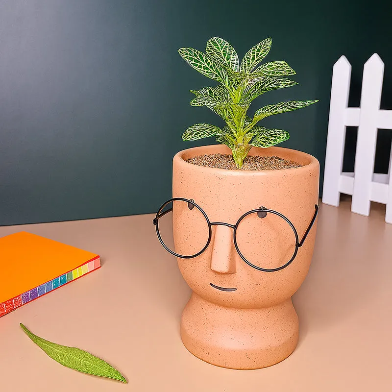 Cheeky Bloom Ceramic Planter - Orange media 5