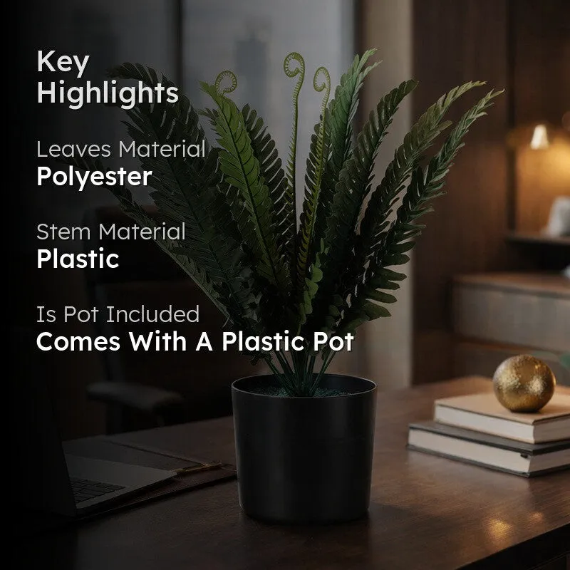 Leaflix Fern Artificial Plant With Plastic Pot - 1.3 Feet media 2