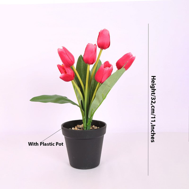 Dark Pink