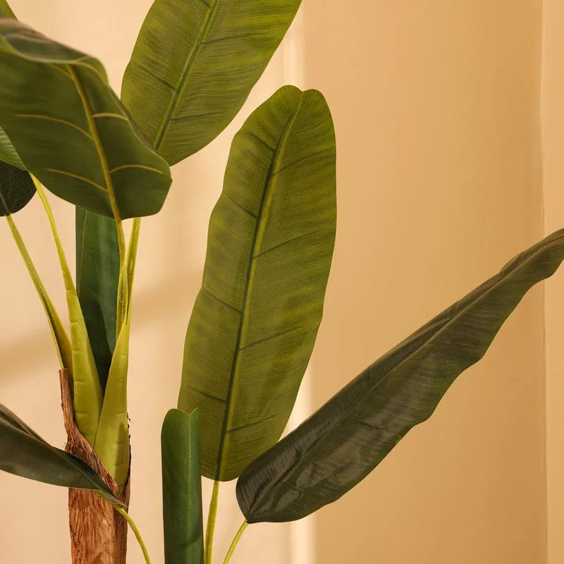 Artificial Banana Plant With Black Plastic Pot - 5 ft media 8