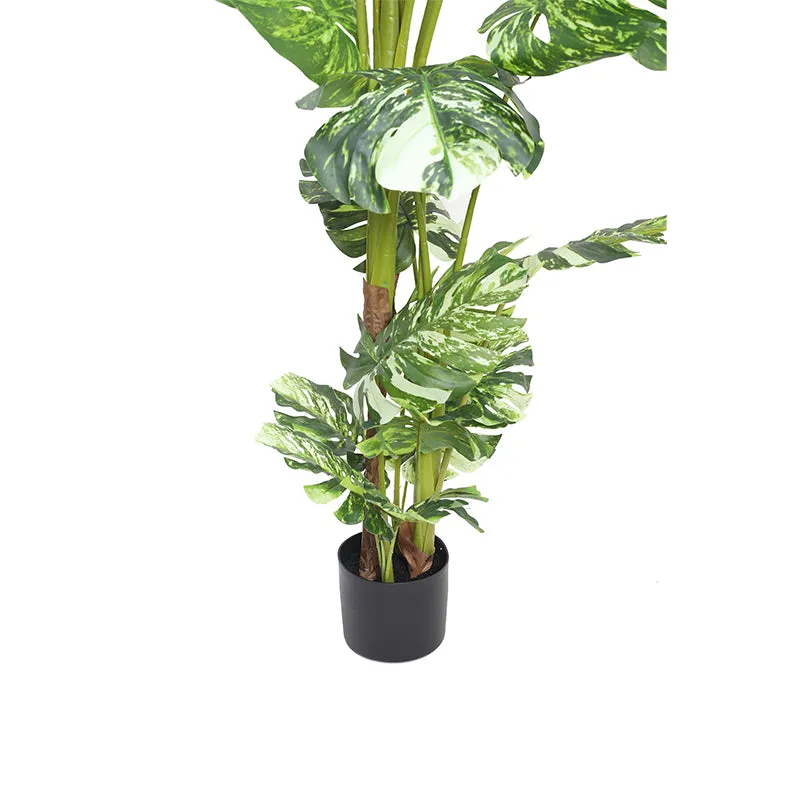 Greenius Artificial Monstera With Black Plastic Pot - 5.6 Feet media 4