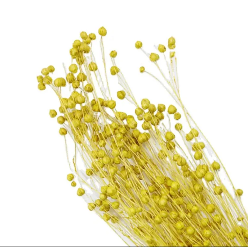 Amora Fax Dried Flower Bunch - Yellow media 5