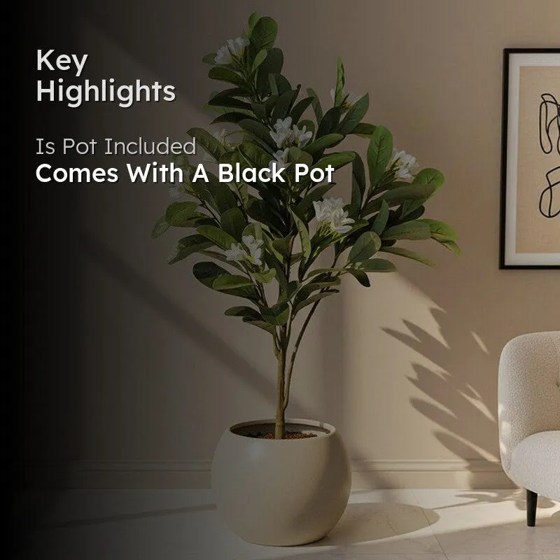 Faux Plumeria Frangipani Plant With Black Plastic Pot - 4.5 Feet media 2