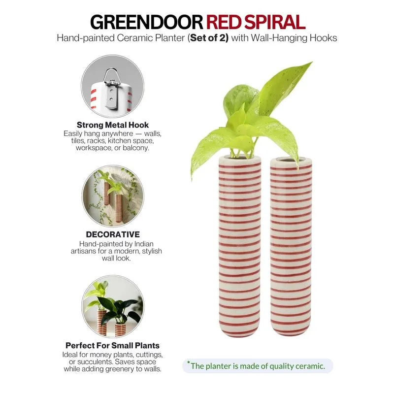 Auralis Pots & Planters (Red) - Set Of Two media 5