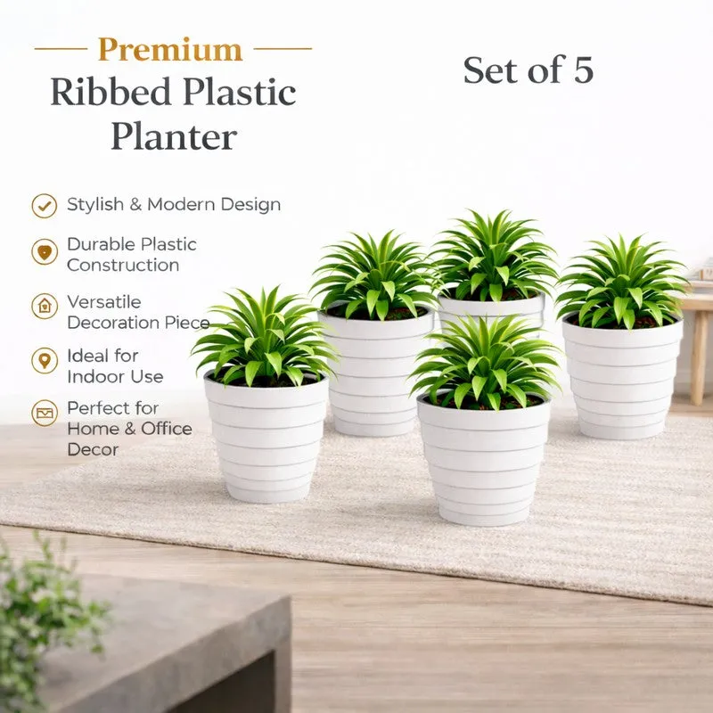 Velora Planters (White) - Set Of Five media 6