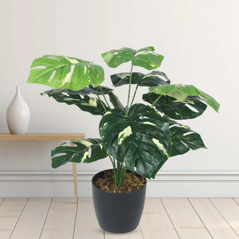 Faux Lush Variegated Monstera Plant With Black Plastic Pot - 1.8 Feet media 2
