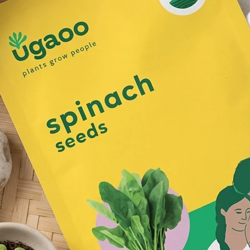 Ugaoo Spinach Seeds (Palak) media 3