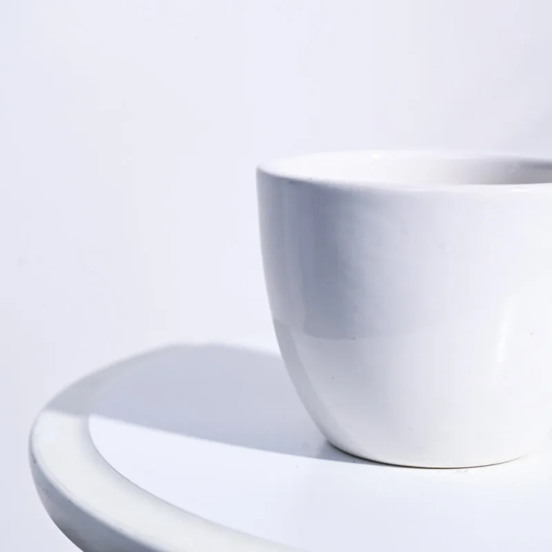 Ugaoo Apple White Ceramic Pot- Small media 4