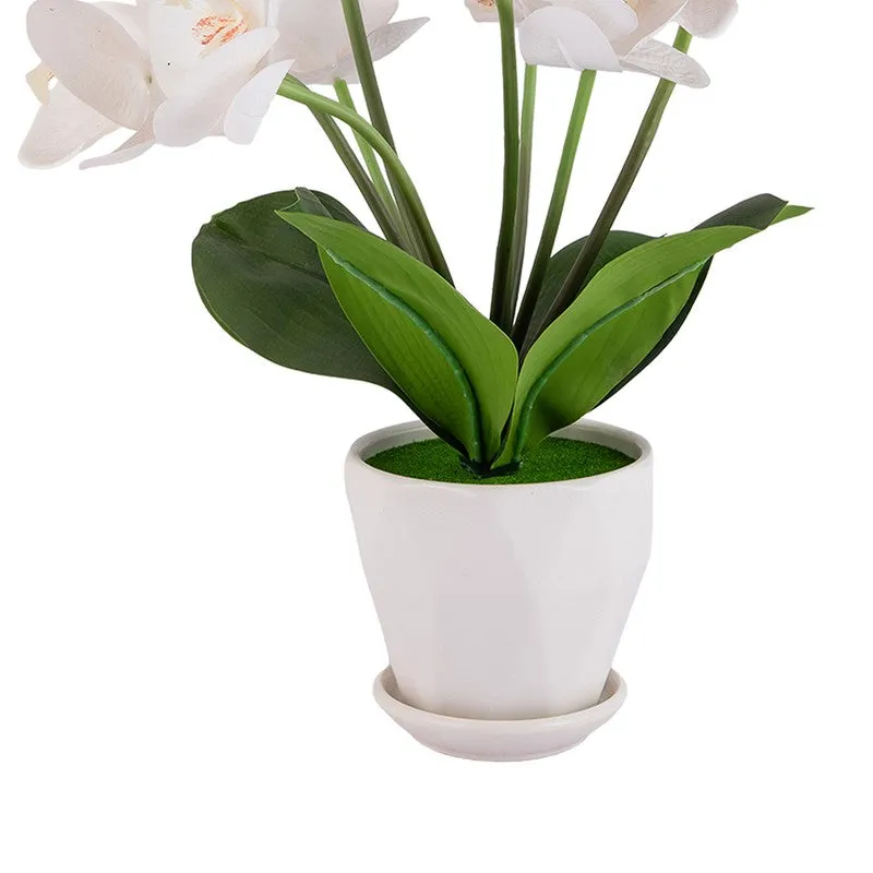 AarviDecor Elegant Bloom Silk Artificial Plants media 8