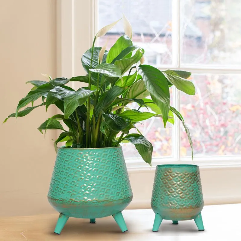 Claro Metal Planter (Green) - Set Of Two media 2