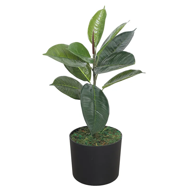 Foliage Finesse Artificial Plant With Black Plastic Pot media 3