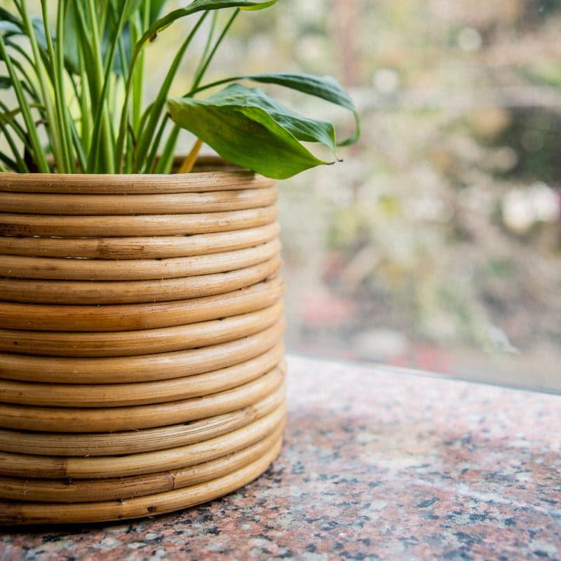 Cortez Coiled Planter media 5
