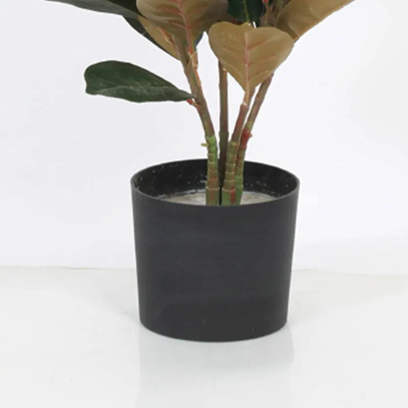 Everfern Artificial Rubber Plant With Black Plastic Pot - 2.8 Feet media 4