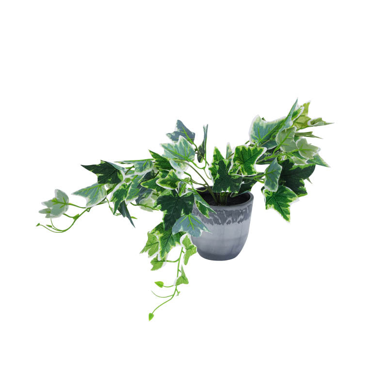 Artificial Green Bush With Plastic Pot media 4