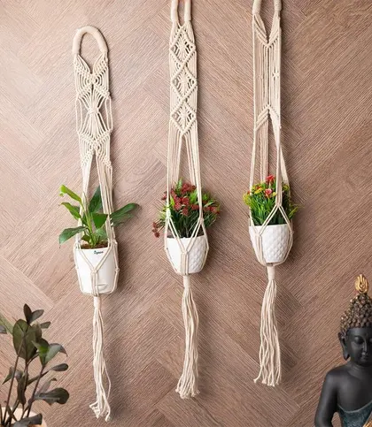 Cotton