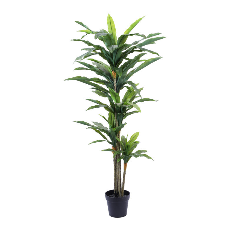 Artificial Realistic Dracaena Plant With Black Plastic Pot - 5.6 Feet image 5