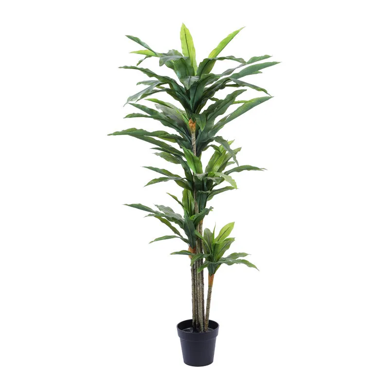 Artificial Realistic Dracaena Plant With Black Plastic Pot - 5.6 Feet media 5