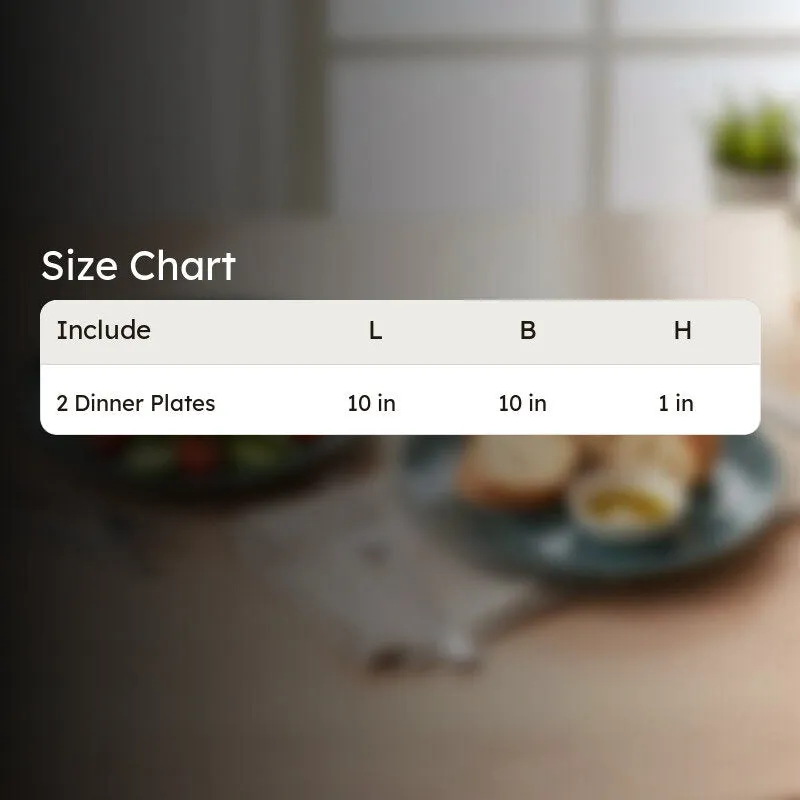 Ceramic Dinner Plates (Grey) - Set of Two media 9