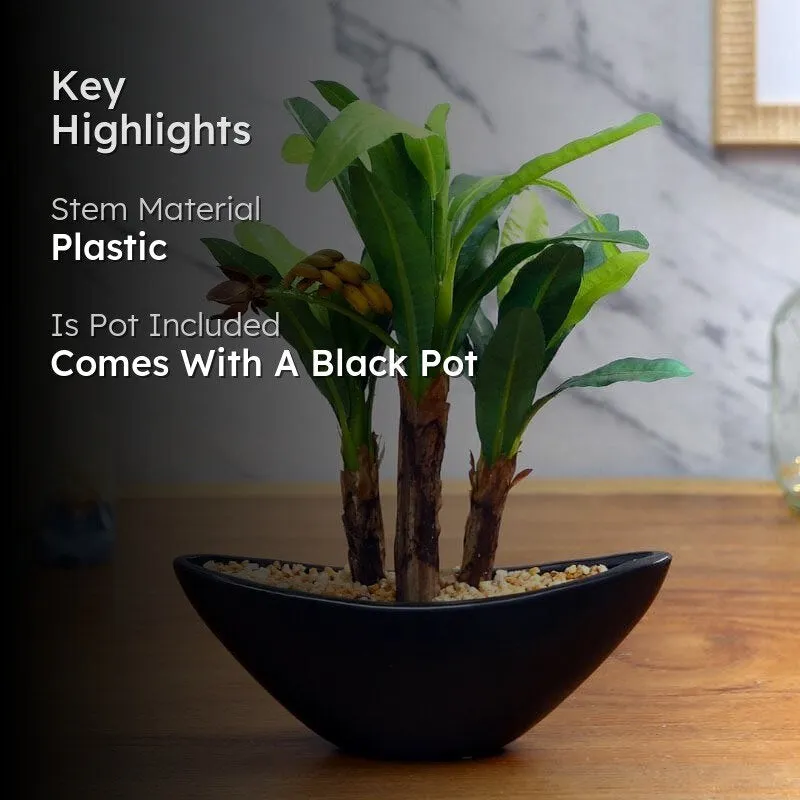 Faux Banana Artificial Bonsai In Bowl Black Plastic Pot - 28 cms media 2