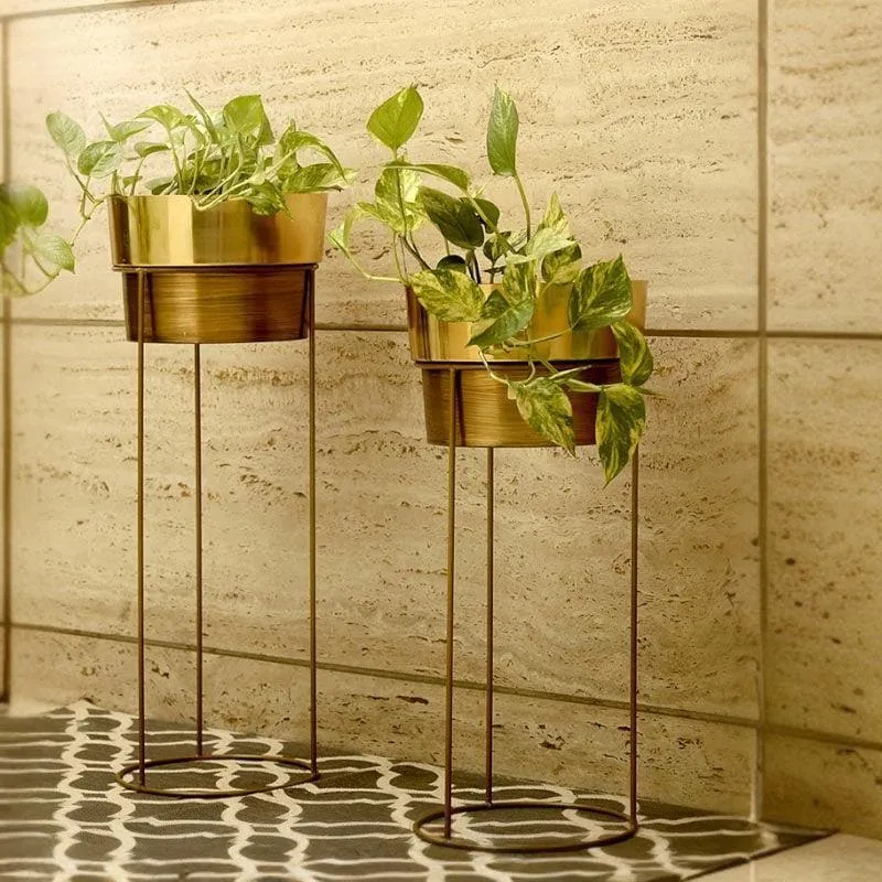 Buckety Metal Planter - Set Of Two media 1