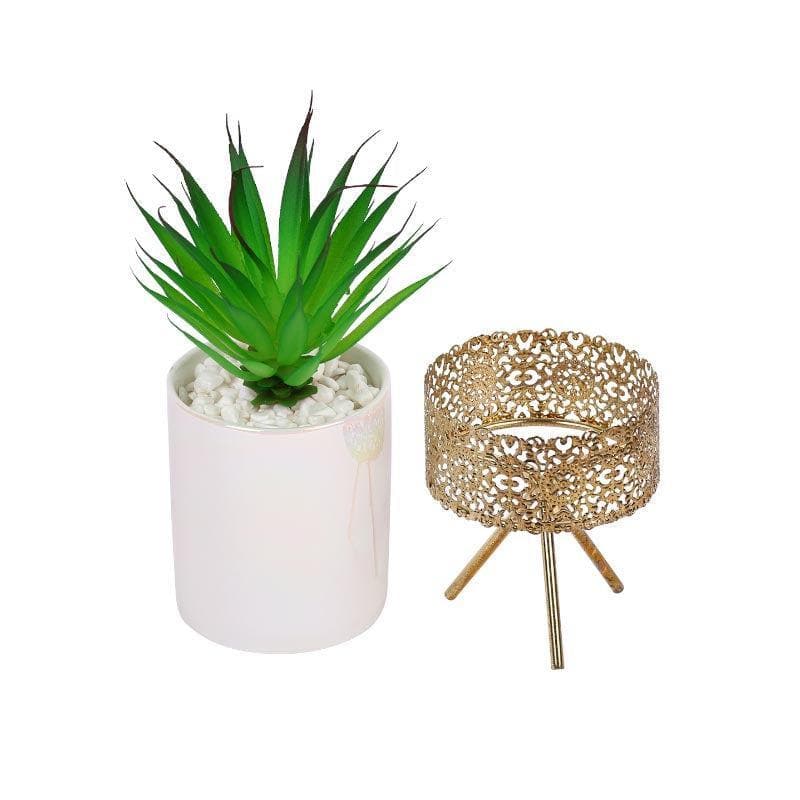 Faux Tequilana In Ceramic Pot With Tripod - 23 cms media 4
