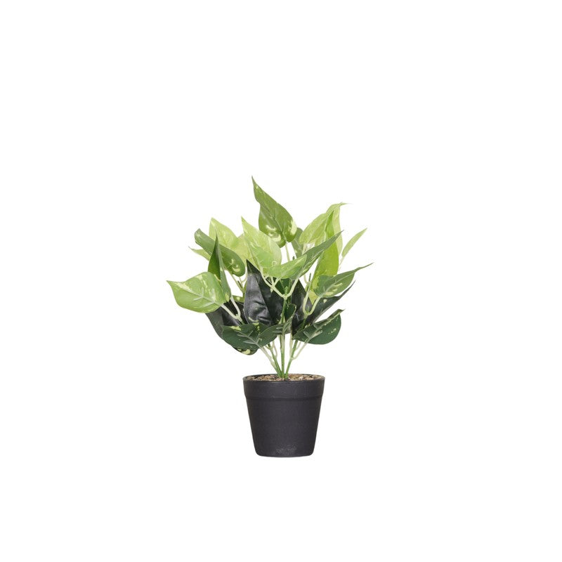 Artificial Pothos Plant With Black Pot (Green) - 0.9 Feet media 4