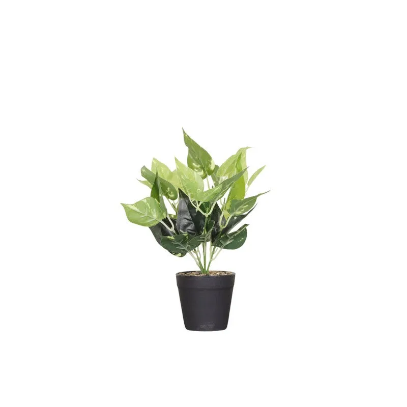 Artificial Pothos Plant With Black Pot (Green) - 0.9 Feet media 4