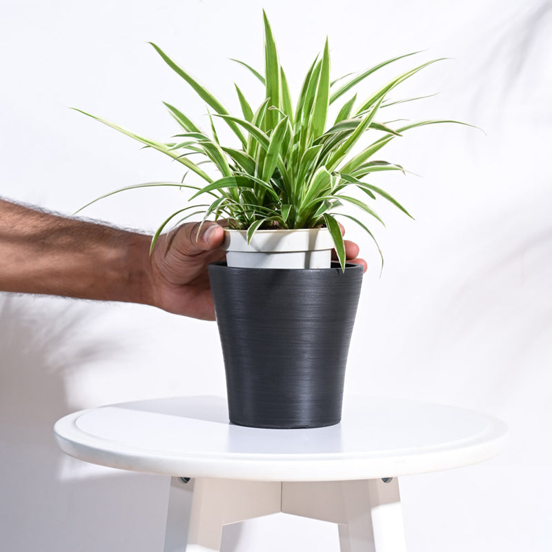 UGAOO Tivoli Planter for Home & Balcony Garden- Black media 5