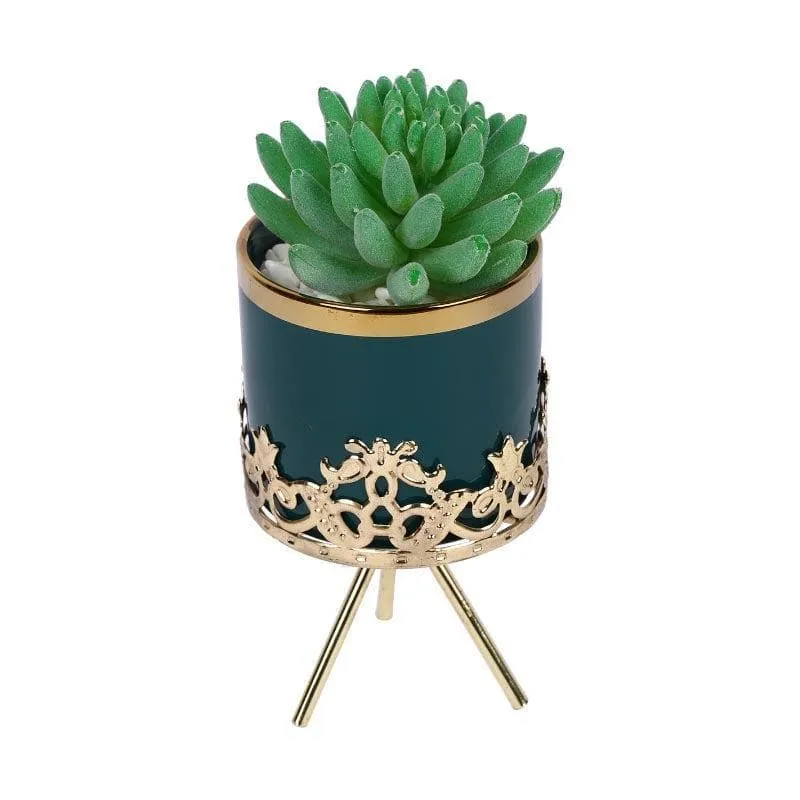 Faux Gasteria In Blue Ceramic Pot - 18 cms media 3
