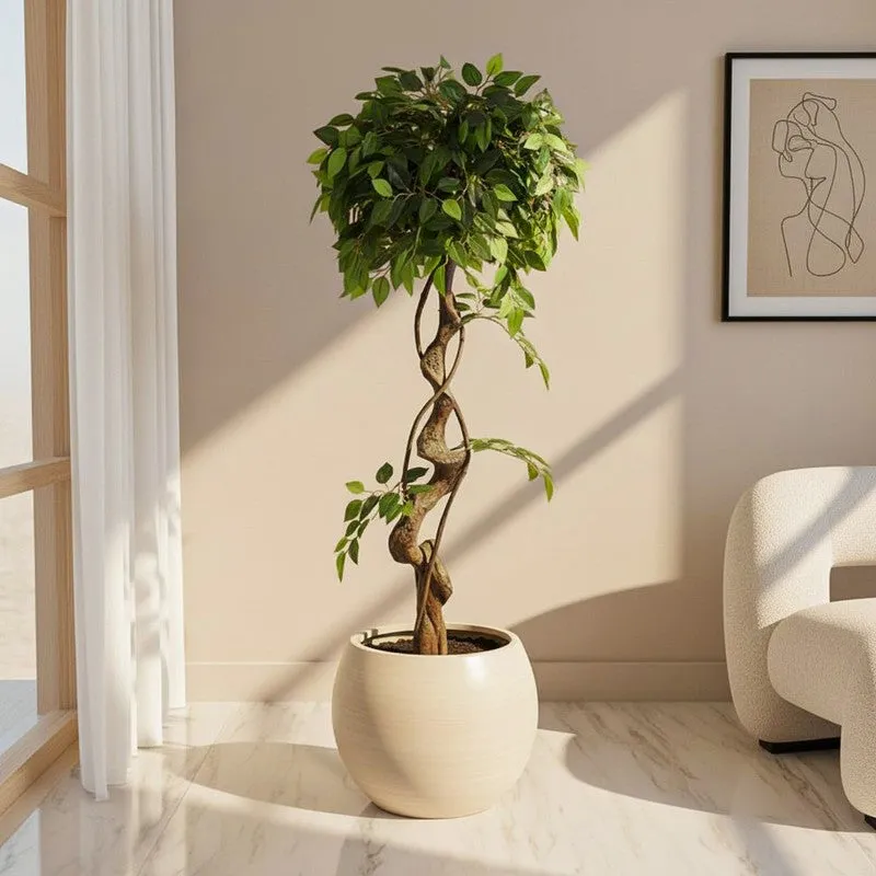 Artificial Realistic Ficus Bonsai With Black Plastic Pot - 3.9 Feet media 1