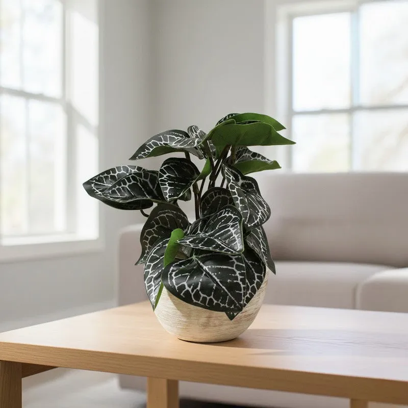 RealTouch Artificial Foliage Plant With Black Fiber Pot - 0.6 Feet media 3