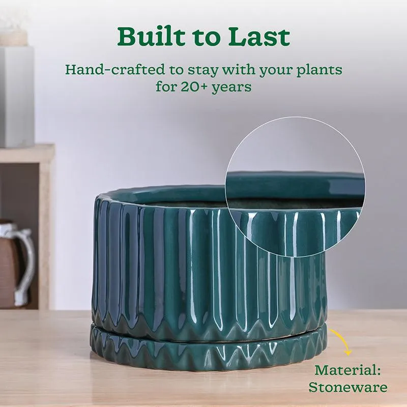 Ugaoo Stria Ceramic Planter - Green media 4