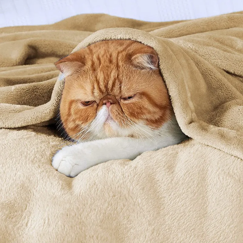 Soft Elite I Blanket(Beige) - 220 GSM media 6