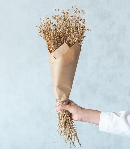 Dried Flowers & Leaves