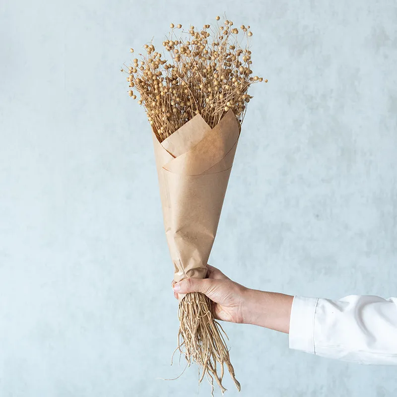 Yinira Naturally Dried Lino Grass media 1