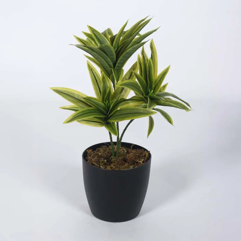 Faux Lush Dracaena Reflexa Plant With Black Plastic Pot (Light Green) - 1.3 Feet media 3